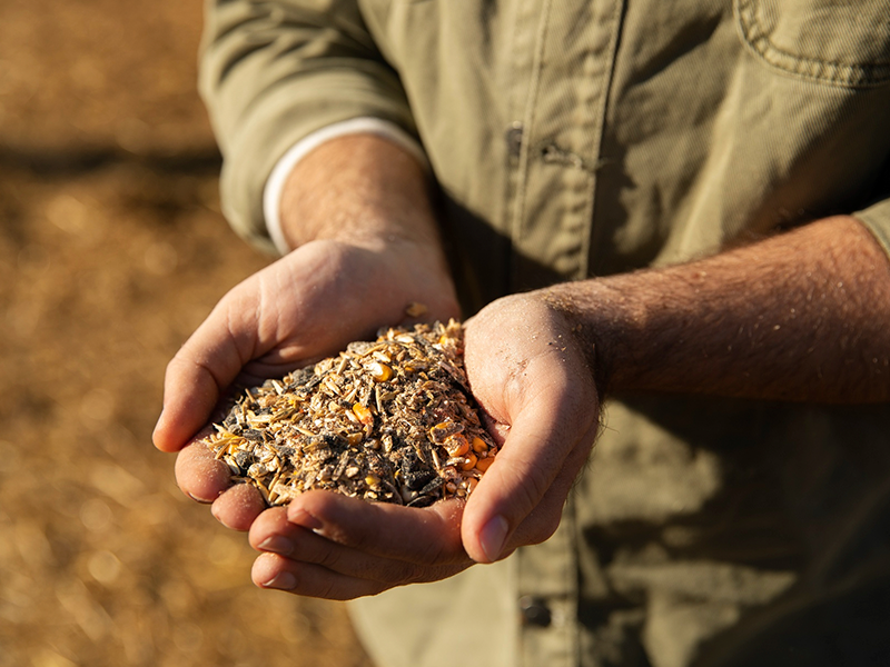 que-es-Agrifoodtech-Challenge-FDM2